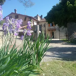 Podere Ugolini Ronta